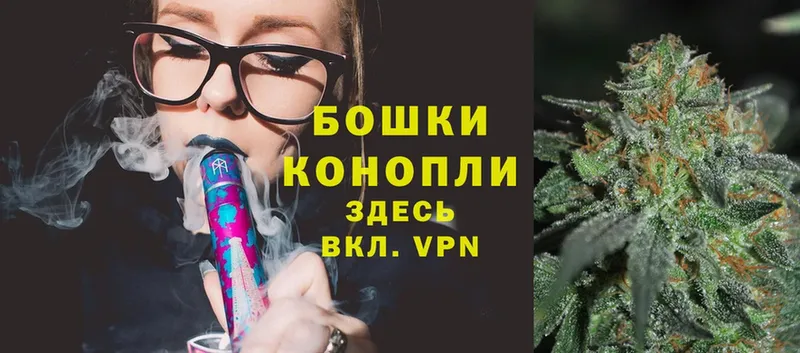 Конопля сатива  Рудня 